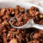 A bowl of chocolate granola with chocolate chips and a spoon.